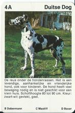 kwartetkaart Duitse Dog, Verzamelen, Ophalen of Verzenden, Gebruikt, Hond of Kat, Overige typen