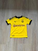 Origineel voetbalshirt Dortmund Haaland, Maat XS of kleiner, Ophalen of Verzenden, Zo goed als nieuw, Shirt