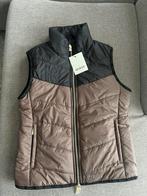 Mrs. Ros bodywarmer maat XS - Black Taupe, Dressuur, Nieuw, Ophalen of Verzenden, Dames