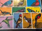 Vogels Paraguay 1973, Postzegels en Munten, Postzegels | Thematische zegels, Ophalen of Verzenden, Postfris, Dier of Natuur
