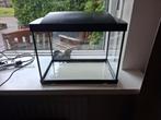 Superfish aquarium, Dieren en Toebehoren, Ophalen, Gebruikt, Leeg aquarium