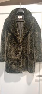 Damesjas maat 42, Kleding | Dames, Miss Etam, Ophalen of Verzenden, Nieuw, Groen
