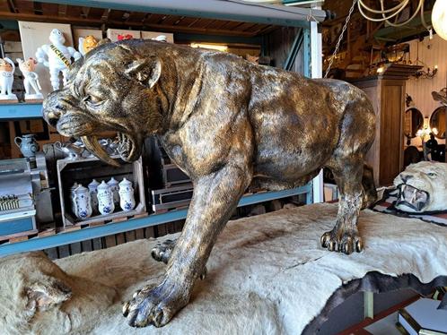 Sabeltandtijger beeld op ware grote materiaal is kunststof, Antiek en Kunst, Curiosa en Brocante, Ophalen