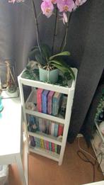 IKEA Vesken Badkamer Kastje/Boekenkast Kunstof, Huis en Inrichting, Ophalen of Verzenden, Zo goed als nieuw