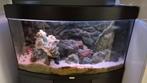 Juwel vision 180 aquarium (leeg) met kast en toebehoren, Ophalen, Gebruikt, Leeg aquarium