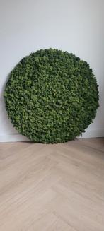 Mosschilderij, Huis en Inrichting, Woonaccessoires | Wanddecoraties, Ophalen of Verzenden