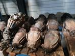 MB Differentieel w124 w201 w210 w202 3.07 3.27 3.67 3.92, Mercedes-Benz