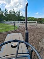 🐴 Mini Paddock Paradise – Volpension / geen taken, Dieren en Toebehoren