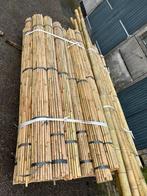 Bonenstokken/staken bamboe tonkin plantensteun