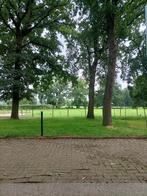 Aangeboden pensionstalling paard, Dieren en Toebehoren, Stalling en Weidegang, Weidegang