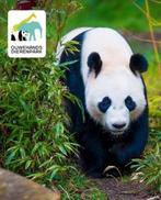 Tickets Ouwehands Dierenpark + gratis parkeren 31-12-2025, Drie personen of meer, Ticket of Toegangskaart