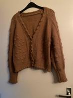 Vest dames ajour M/L, Kleding | Dames, Truien en Vesten, Ophalen of Verzenden, Zo goed als nieuw, Bruin