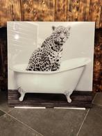 Glasschilderij Cheeta, Nieuw, Ophalen of Verzenden, Schilderij, 75 tot 100 cm