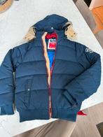 Winterjas pointer, Ophalen of Verzenden, Zo goed als nieuw, Blauw