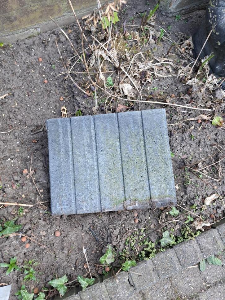 Gratis border afhalen, Tuin en Terras, Bielzen en Borders, Gebruikt, Border, Overige materialen, 25 tot 50 cm, Minder dan 100 cm