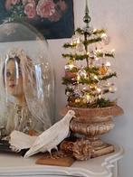 Taxidermie witte pauwstaart duif, Antiek en Kunst, Curiosa en Brocante, Ophalen of Verzenden