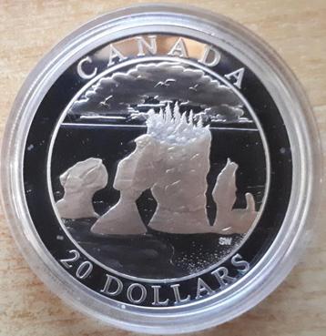 Canada, 20 Dollars 2004 - 1 Oz. puur Zilver Proof - verguld beschikbaar voor biedingen