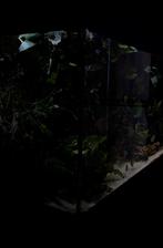 Complete juwel rio 125, Dieren en Toebehoren, Ophalen, Zo goed als nieuw, Gevuld zoetwateraquarium