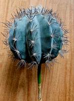 Kunstcactus - 20 cm - Nieuwstaat, Ophalen, Nieuw, Binnen