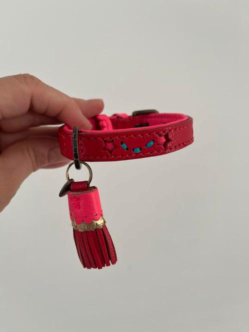 Halsband hond - Dog With a Mission - XXXS, Dieren en Toebehoren, Hondenhalsbanden en Penningen, Zo goed als nieuw, Ophalen of Verzenden