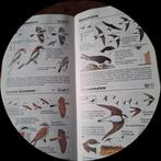 "Vogels" Peter Hayman zakgids, scrapbook,bullet journal, 80s, Boeken, Ophalen of Verzenden, Zo goed als nieuw, Vogels