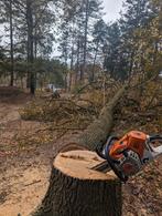 Boom en tuin onderhoud, ook rooi en klimwerk!, Diensten en Vakmensen, Tuinmannen en Stratenmakers, Tuinonderhoud of Snoeiwerk