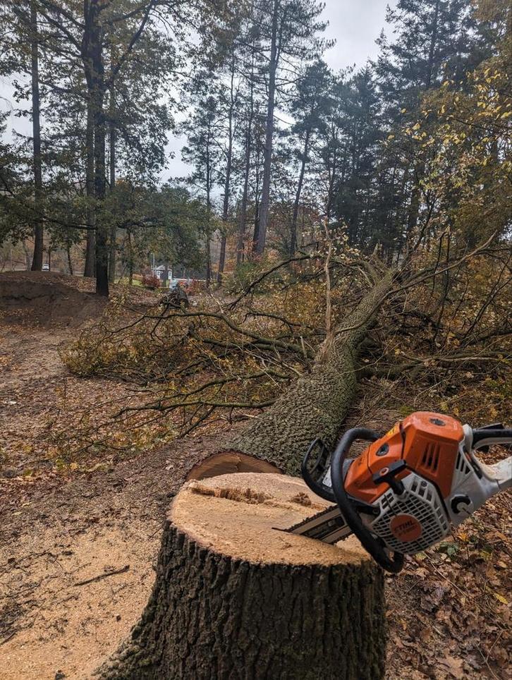 Boom en tuin onderhoud, ook rooi en klimwerk!, Diensten en Vakmensen, Tuinmannen en Stratenmakers, Tuinonderhoud of Snoeiwerk
