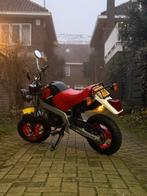 Honda ZB50, Fietsen en Brommers, Ophalen, Zo goed als nieuw, Overige modellen