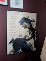 Gedicht op Lijst 60x80 - Vogels/Vogelvrij, Ophalen