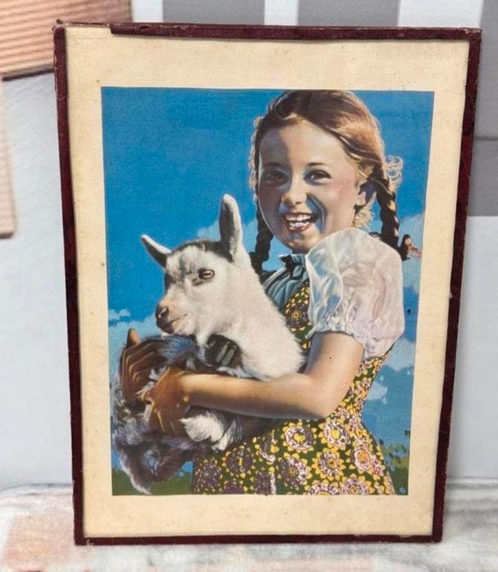 Vintage meisje met geit, glas glazen wanddecoratie 20x27cm, Huis en Inrichting, Woonaccessoires | Wanddecoraties, Gebruikt, Ophalen of Verzenden