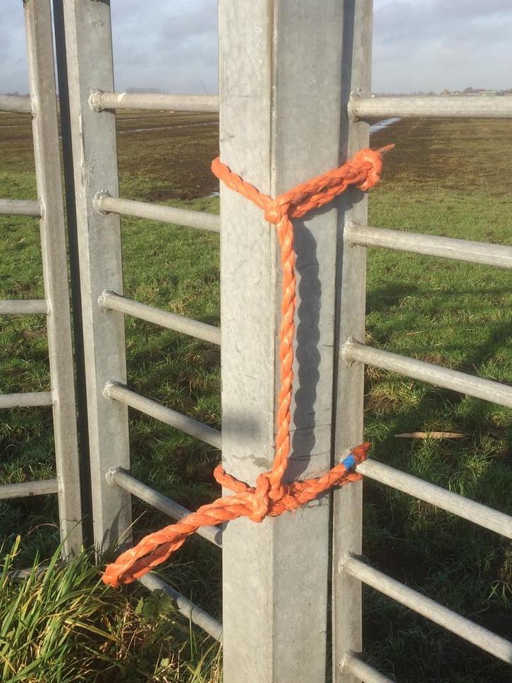 Hektouwen - Koetouwen, Dieren en Toebehoren, Stalling en Weidegang, Stalling, Weidegang, Toebehoren