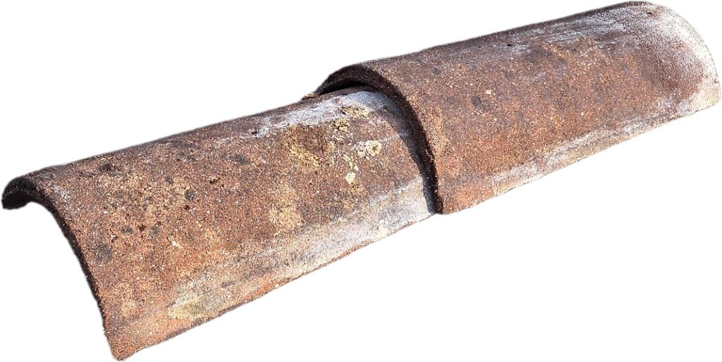 Sneldek Vorsten – 45 cm – €3,50 per stuk