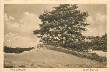 (381-060-011) Driebergen In de Duinen beschikbaar voor biedingen