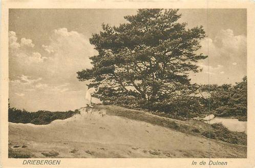 (381-060-011) Driebergen In de Duinen, Verzamelen, Ansichtkaarten | Nederland, Utrecht, Verzenden
