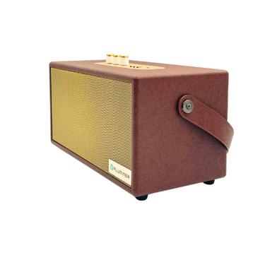 Verdien aan stroomoverschot –NEW Fluminer T2 miner & speaker beschikbaar voor biedingen