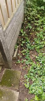 Betonschutting rotsmotief, Ophalen of Verzenden, Zo goed als nieuw, Beton, Terrastegels