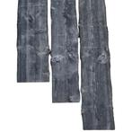 Schaaldelen Douglas/Lariks Zwart 20x200/300x4000, Ophalen of Verzenden, Nieuw, 250 cm of meer, Planken