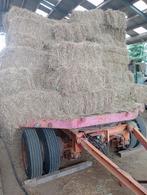 hooi, Dieren en Toebehoren, Dierenvoeding, Ophalen, Vee