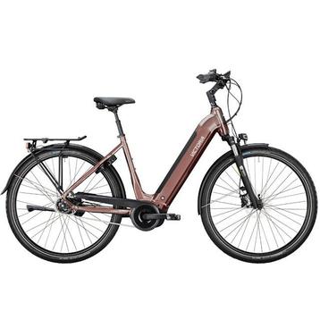 Victoria TRESALO 13 Dames Bornit Copper 52cm 2024 beschikbaar voor biedingen