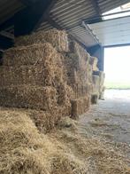 Tarwe stro te koop, Dieren en Toebehoren, Ophalen, Vee