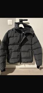 Canada Goose parka, Maat 52/54 (L), Onbekend, Nieuw, Ophalen of Verzenden