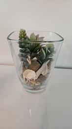 Vetplant arrangement in glazen vaas met echte schelpen, Huis en Inrichting, Woonaccessoires | Vazen, Minder dan 50 cm, Groen, Glas