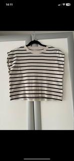 Kledingbox Maat 36/38, Schoenen 40 - 65 Items!, Kleding | Dames, Ophalen of Verzenden, Gedragen, Maat 38/40 (M)
