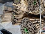 Tonkin bamboe stokken  vanaf € 0,40 per stuk, Ophalen, Nieuw, Overige typen
