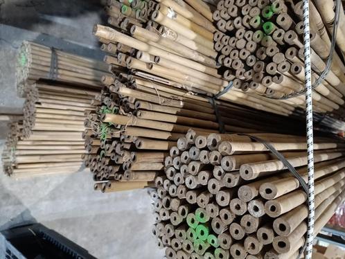 Tonkin bamboe stokken  vanaf € 0,40 per stuk, Tuin en Terras, Kweekspullen, Nieuw, Overige typen, Ophalen