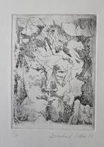 Mooie ets, Antiek en Kunst, Kunst | Etsen en Gravures, Ophalen of Verzenden