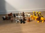 Duplo 23 dieren, Ophalen of Verzenden, Zo goed als nieuw, Duplo
