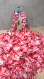 Roze Hawaï boa’s nieuw, Ophalen of Verzenden, Nieuw