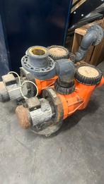 2x Speck Badu Resort 70 zwembadpomp, Ophalen, Overige materialen, Gebruikt, Overige typen