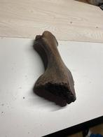 Mooie heup van een vermoedelijke wolharige neushoorn., Verzamelen, Mineralen en Fossielen, Verzenden